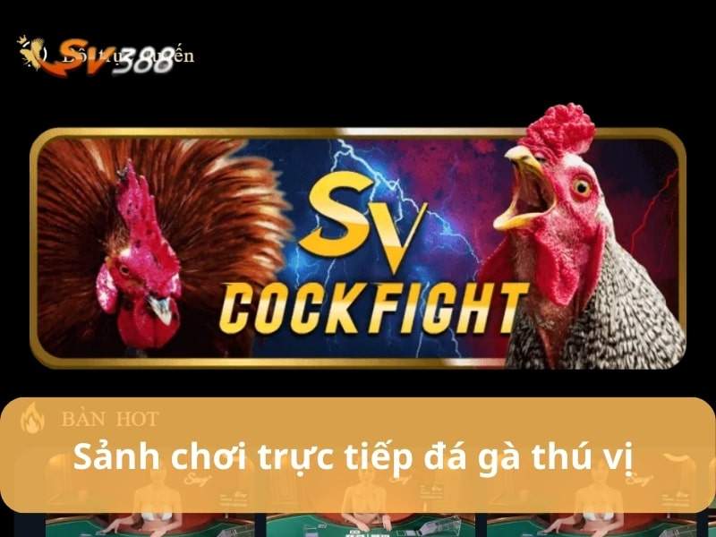 Trực tiếp đá gà phát sóng hàng ngày Trực tiếp đá gà phát sóng hàng ngày